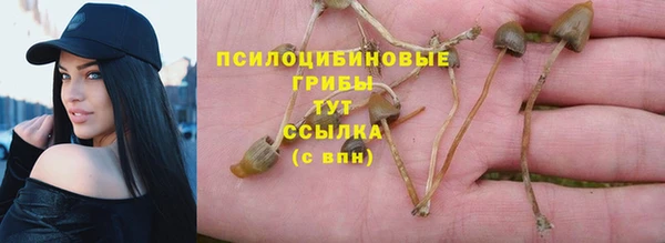 ПСИЛОЦИБИНОВЫЕ ГРИБЫ Няндома