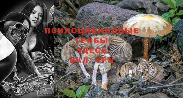 ешки Малоярославец