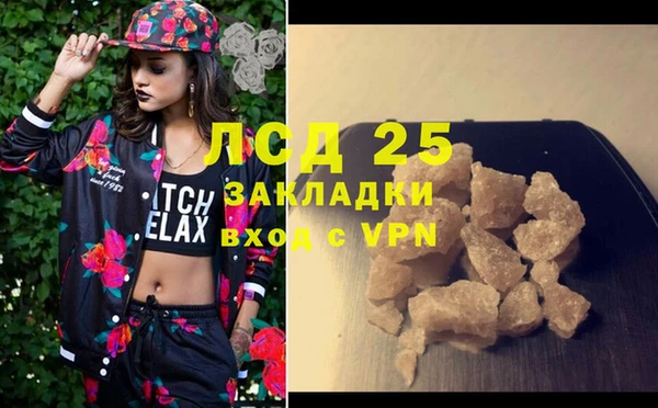 ПСИЛОЦИБИНОВЫЕ ГРИБЫ Няндома