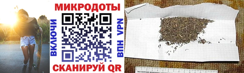 Псилоцибиновые грибы мицелий Петровск-Забайкальский